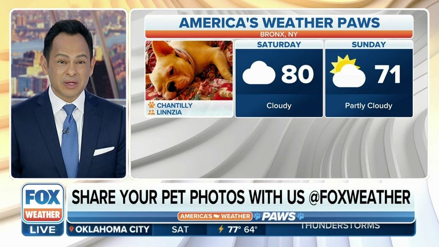 America's Weather Paws | May 13