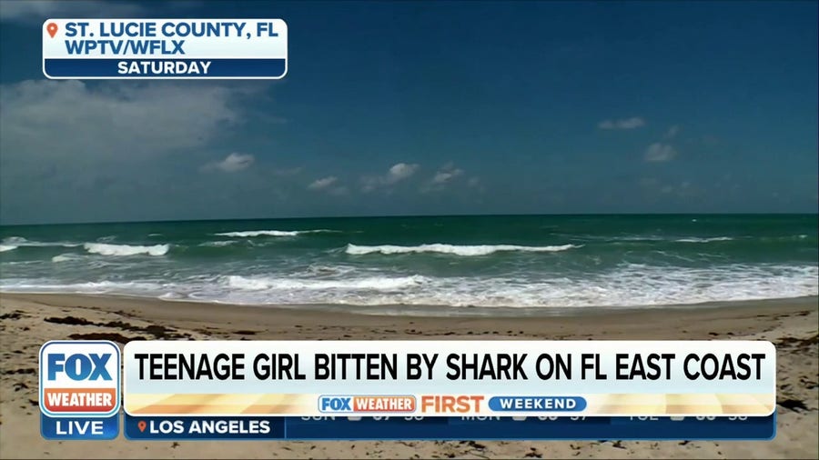 Teenage girl bitten by shark on Florida beach says it 'went straight to me'