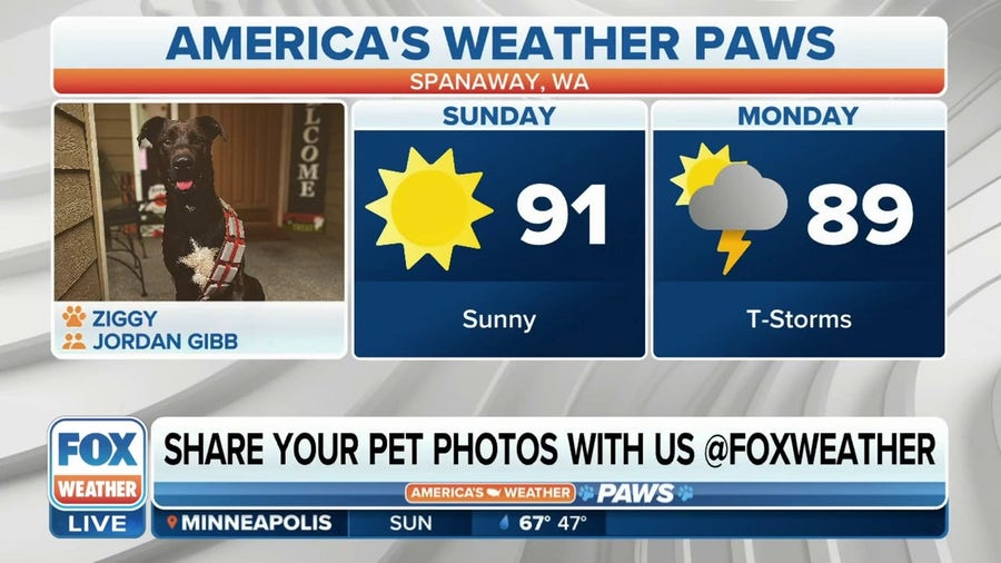 America's Weather Paws | May 14