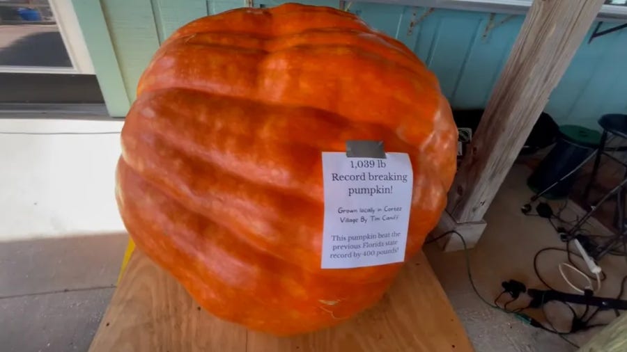 Florida man breaks state record with 1,000-pound pumpkin