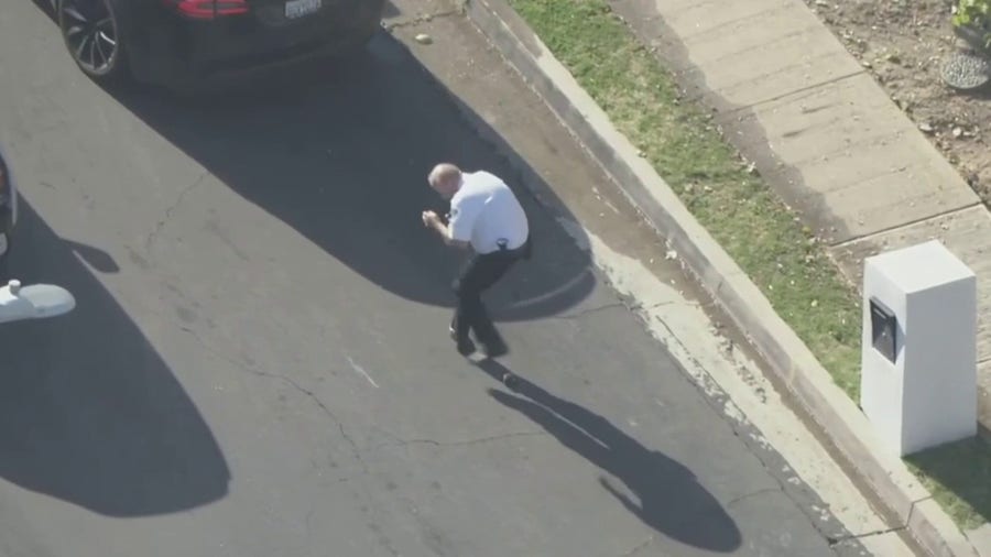 Watch: Man collapses on live TV after being attacked by swarm of bees in Los Angeles