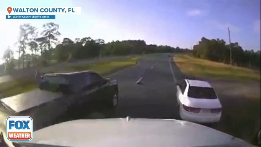 Turtle crossing on Florida highway leads to crash 