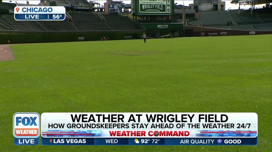 How groundskeepers at Wrigley Field stay ahead of the weather to keep field in great playing condition