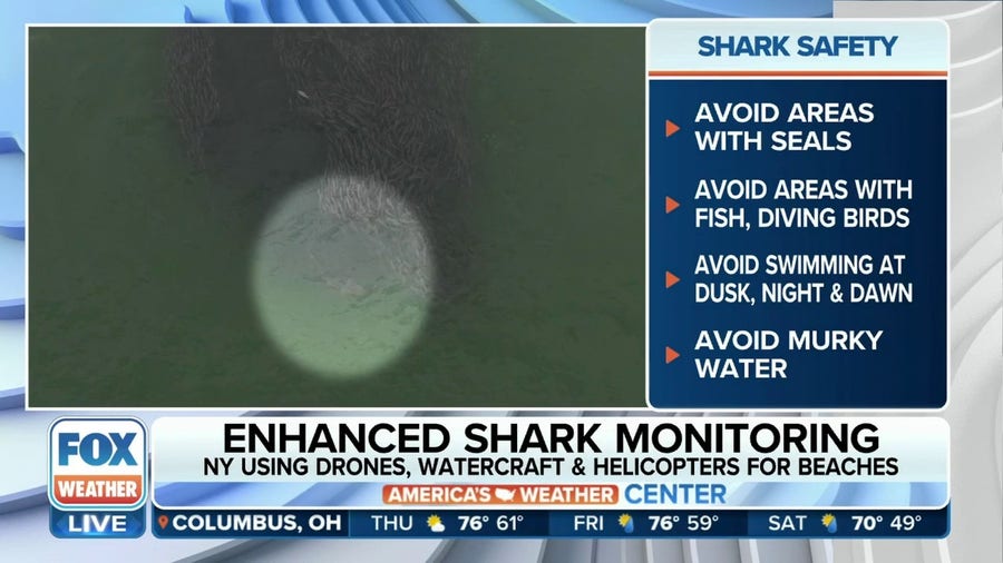 New York Increasing Shark Surveillance At Beaches This Summer By Using ...