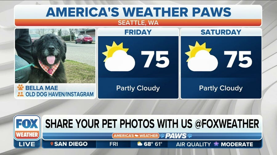 America's Weather Paws | May 19