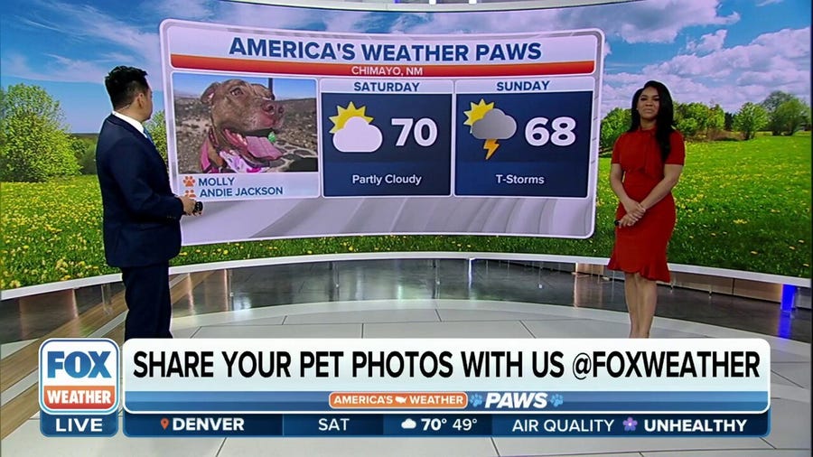 America's Weather Paws | May 20