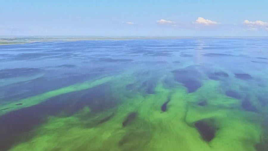 Large algae bloom spotted on Florida's Lake Okeechobee