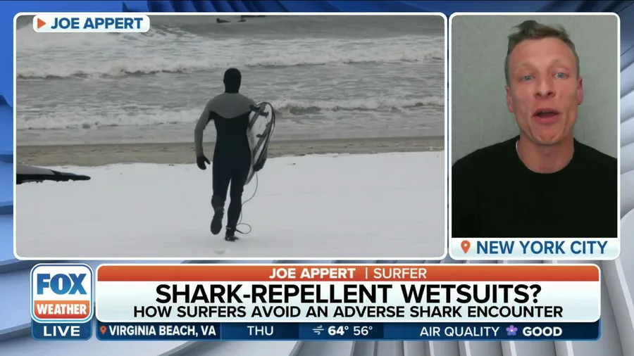 How surfers can avoid adverse shark encounters