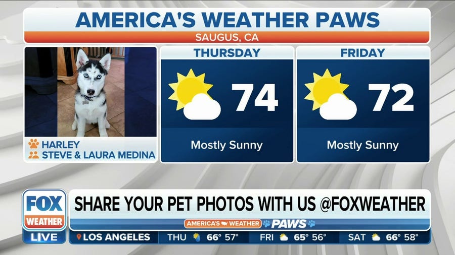 America's Weather Paws | May 25