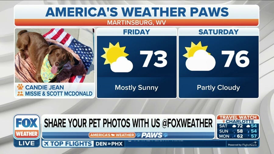 America's Weather Paws | May 26