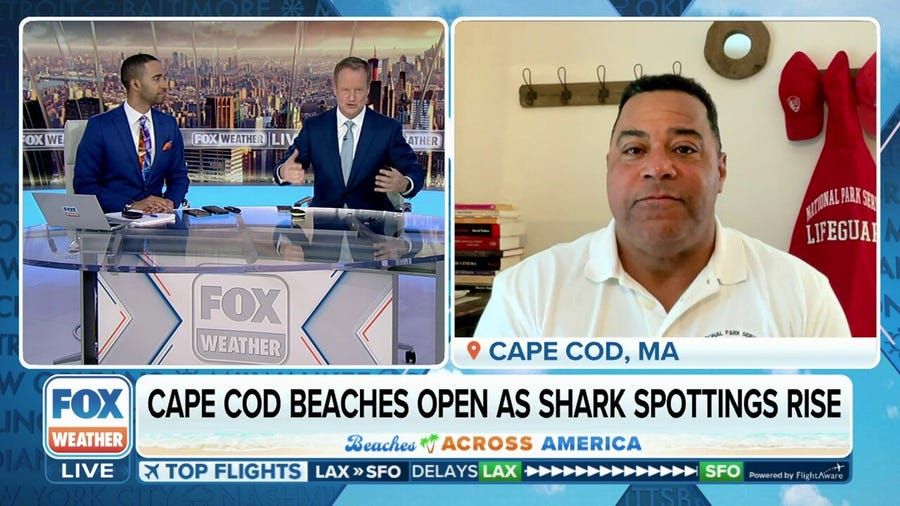Cape Cod beaches open as shark spottings rise