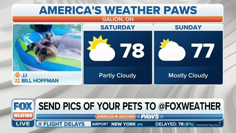 America's Weather Paws | May 27