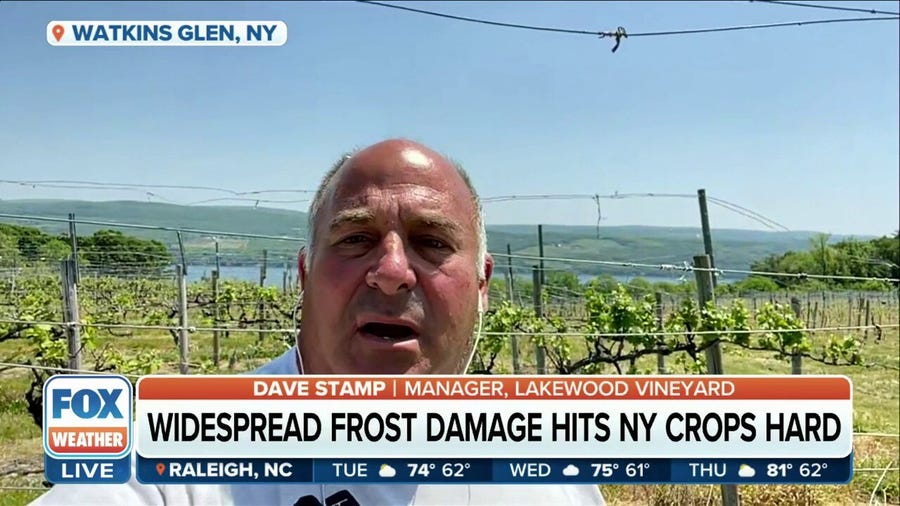 Unseasonably cold weather impacts Northeast crops