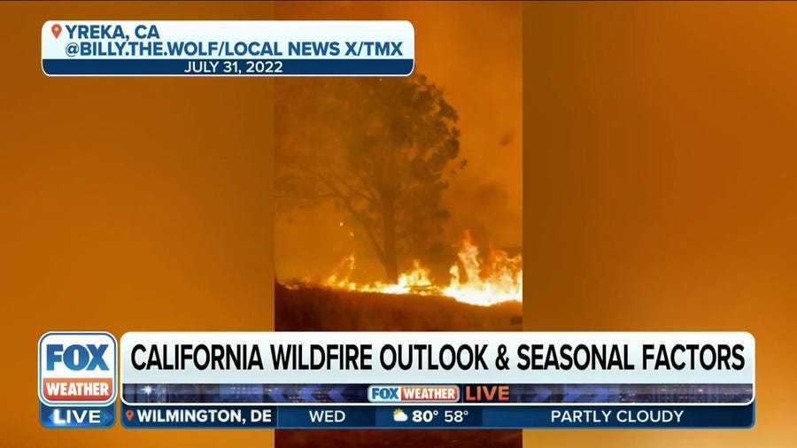 California wildfire season could be one for the books after record winter rain