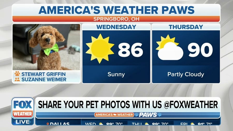 America's Weather Paws | May 31