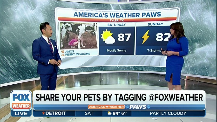 America's Weather Paws | June 10