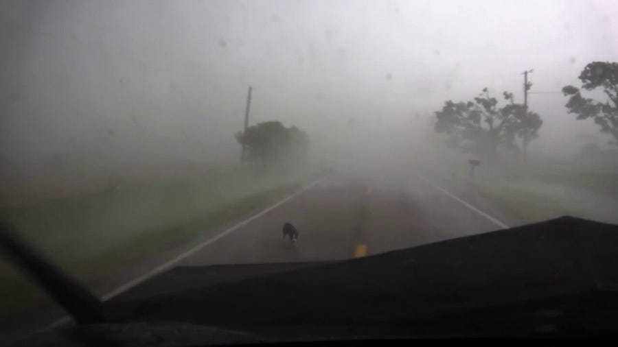 Watch: Storm chasers save dog caught in Oklahoma tornado