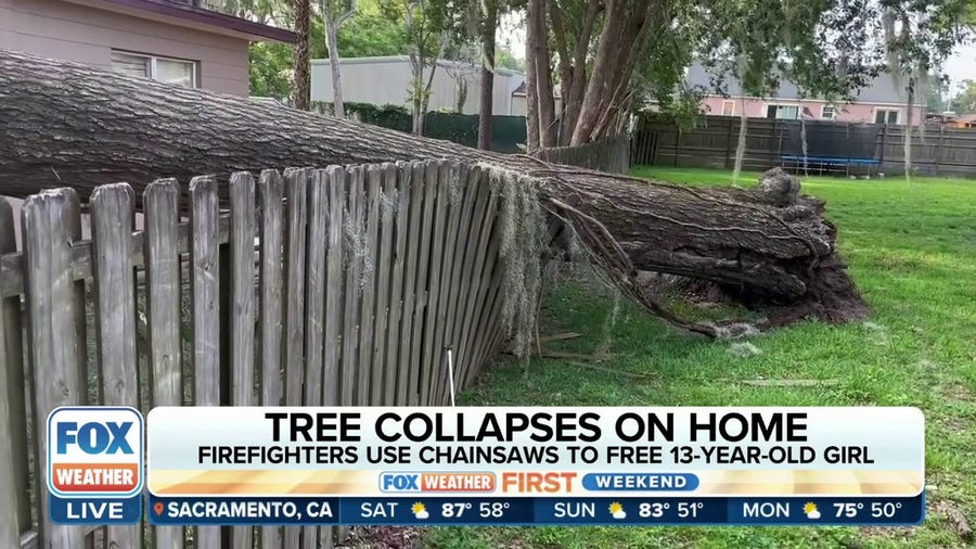 Chainsaws used to free girl, 13, after tree collapse on Florida home