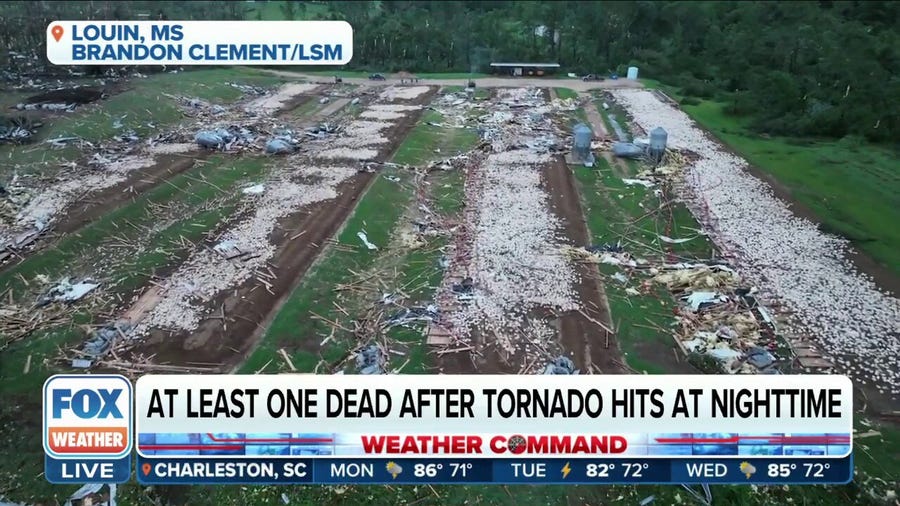 1 killed, nearly 2 dozen injured after likely tornado tears through Louin, Mississippi