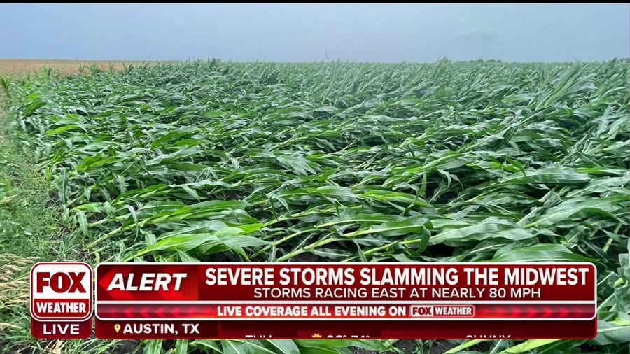 Crop damage reported in Midwest following Thursday's derecho