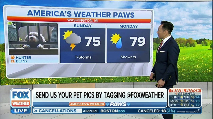 America's Weather Paws | July 2