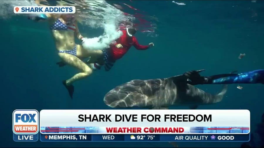 Veterans celebrate Fourth of July holiday by diving with sharks