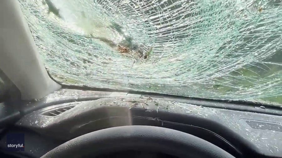 Tree smashes into new car on North Carolina highway
