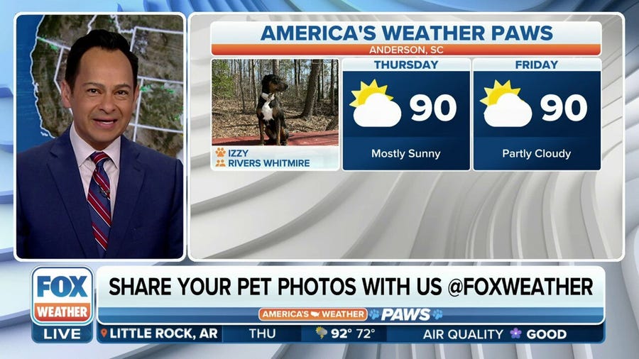 America's Weather Paws | July 6