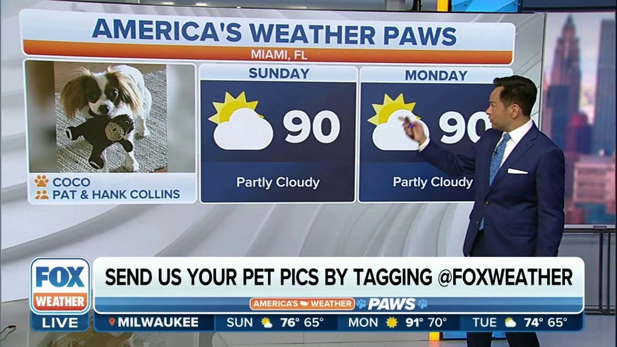 America's Weather Paws | July 9