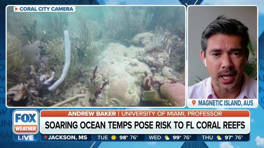 Warming ocean water threatens Florida's coral reefs