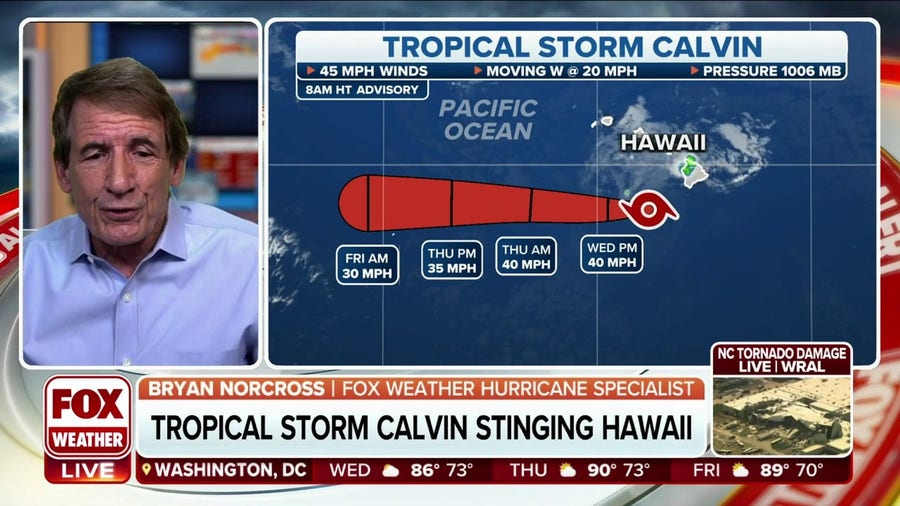 Tracking a pair of tropical storms in the Atlantic and Pacific