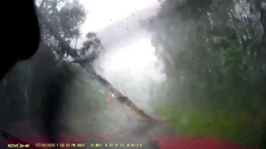 Tree, power line fall on Louisiana man's car during severe storms, dashcam shows