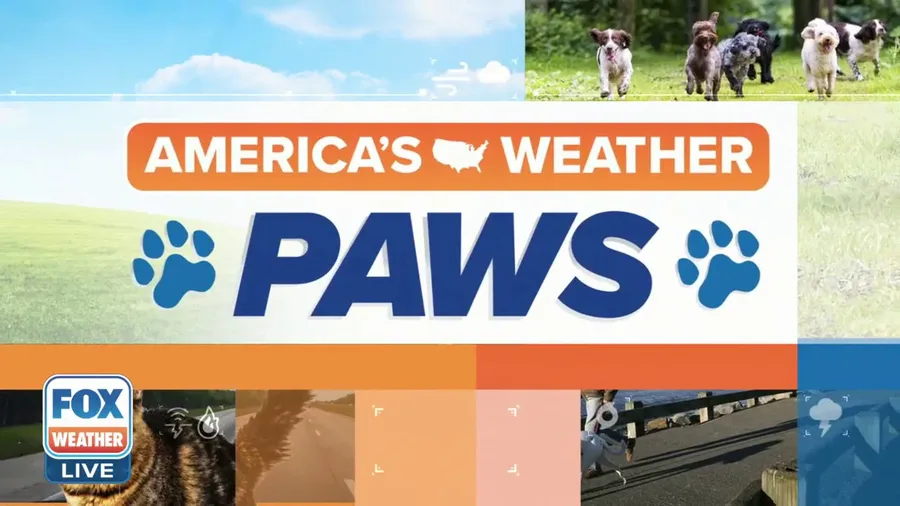 America's Weather Paws | July 23