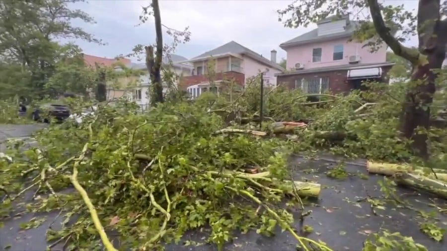 Downed trees, damaged homes in Brooklyn after storm