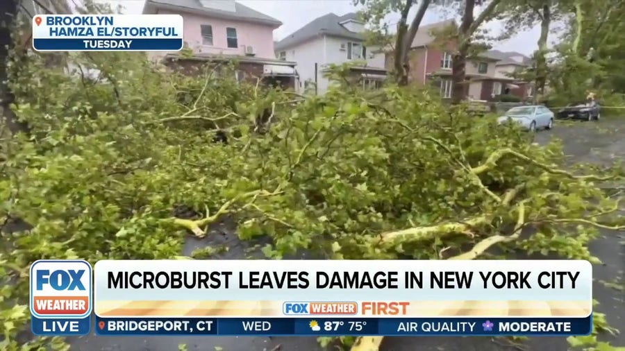 Microburst leads to 70 mph wind gusts, tree damage in Brooklyn, New York