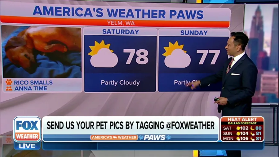 America's Weather Paws | July 29