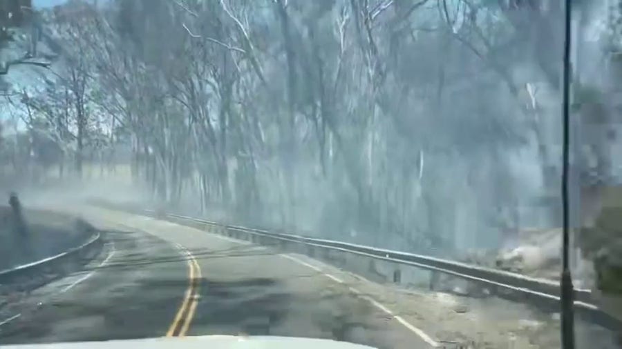 Damaging fires fanned by Hurricane Dora's strong winds spread in Maui