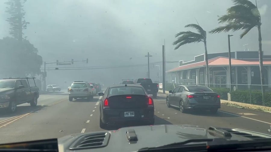 Initial movements after fires raged across Hawaii 