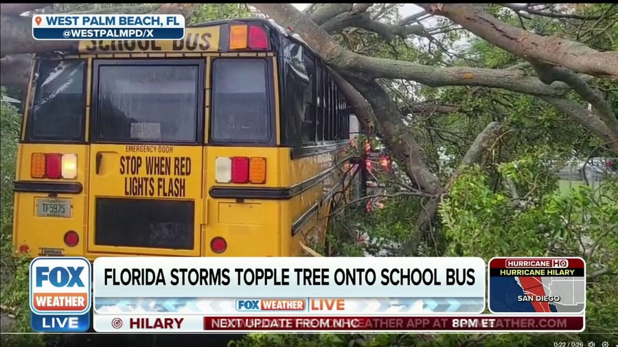 Summer storms cause gusty winds, lightning strikes in Florida