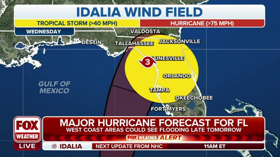 Tropical Storm Idalia takes aim at Florida's Gulf Coast