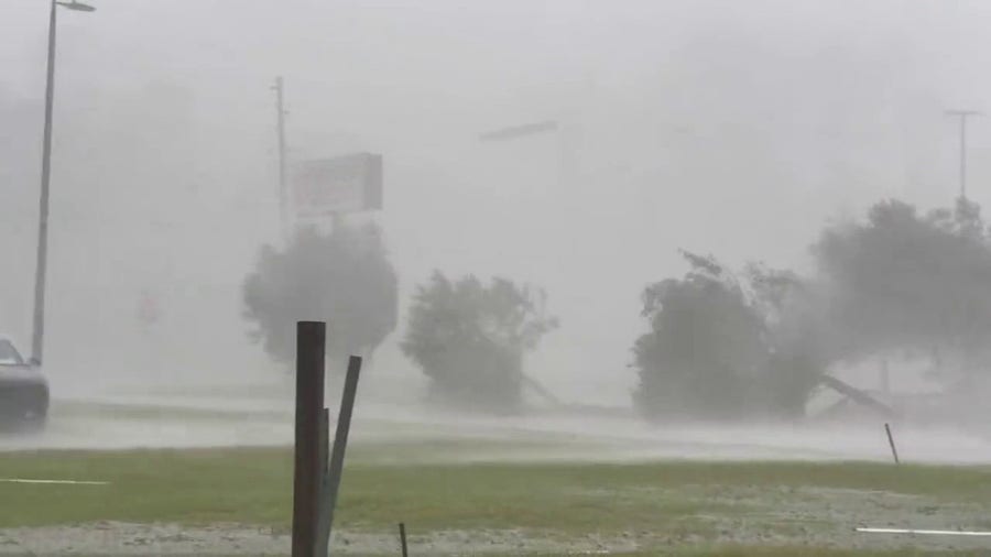 Watch: Powerful winds from Hurricane Idalia send trees, debris flying through the air in Perry, Florida