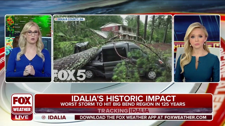 Massive trees crushed homes, cars thanks to Idalia