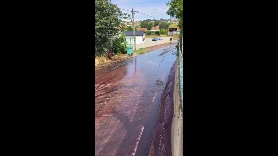 Wine streams down road in Portuguese town