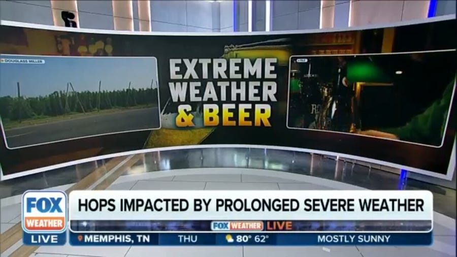 Weather impacts on the beer industry