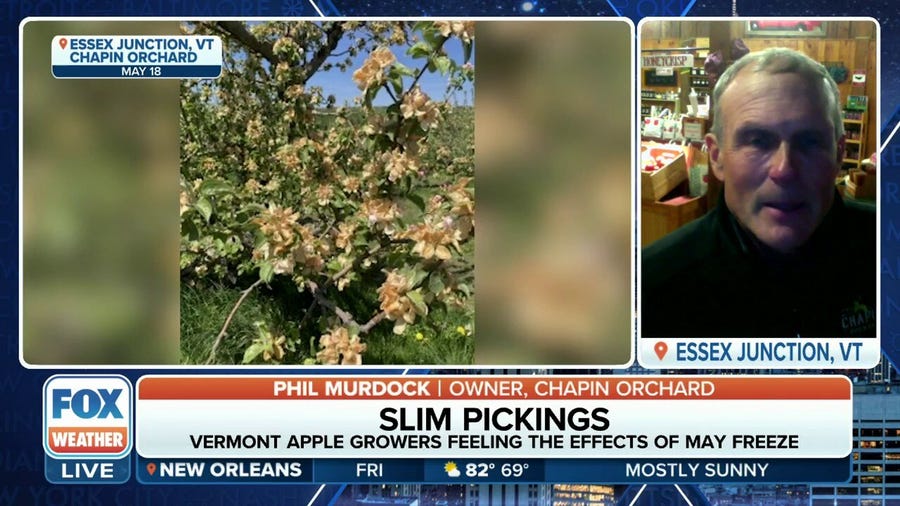 Apple orchards cancel pick-your-own-apples fall festivities due to May frost