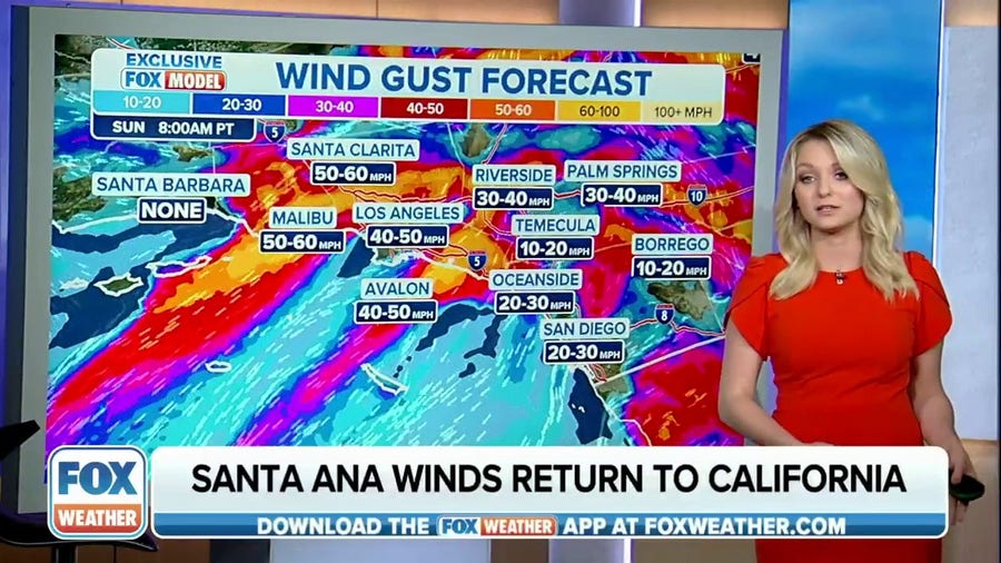 Santa Ana winds increase wildfire danger in Southern California