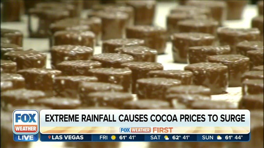 Extreme rainfall causes cocoa prices to surge