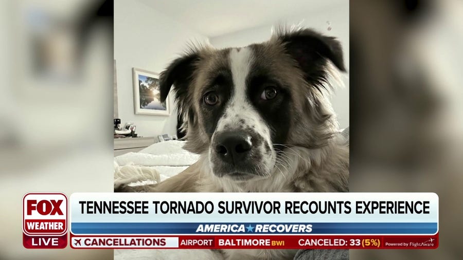 Tennessee man survives deadly tornado with his dog