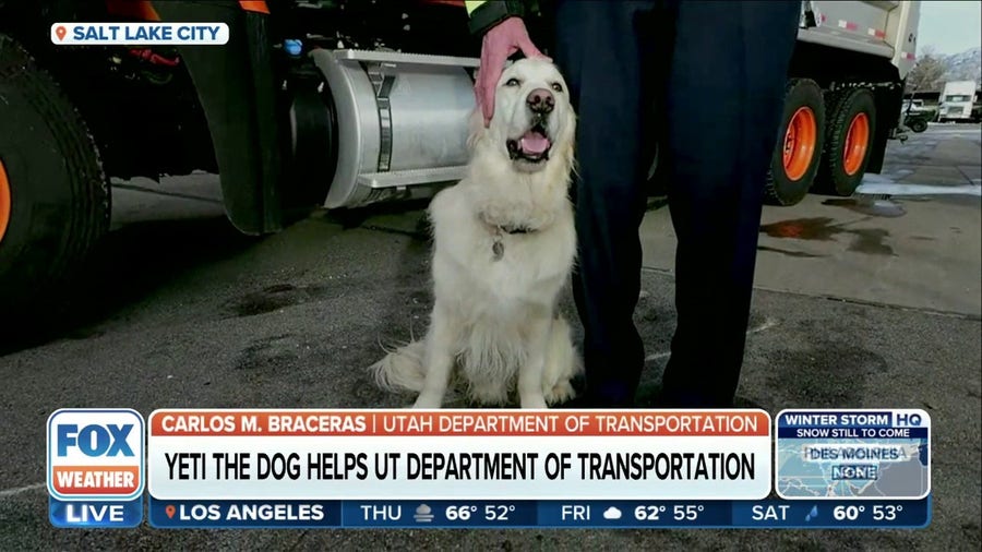 Golden Retriever helps transportation crews clear roads in Utah