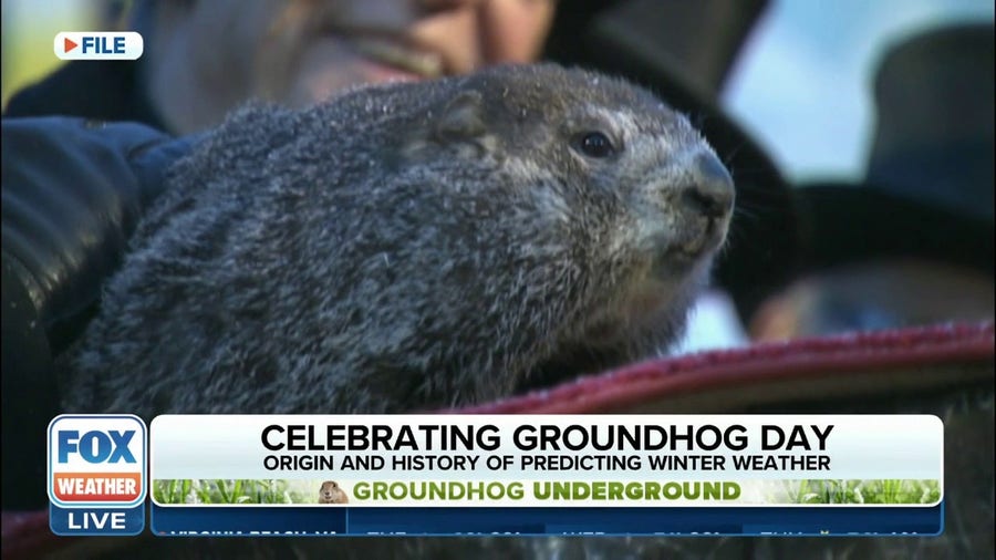 Why is Groundhog Day celebrated every year on February 2? | Latest